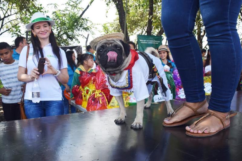 Las mascotas a tono con el San Pedro - La Nación.com.co