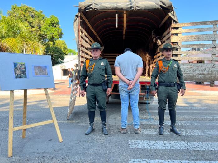 Capturados con caballos que habían sido robados en El Juncal (Palermo) 7 3 febrero, 2023